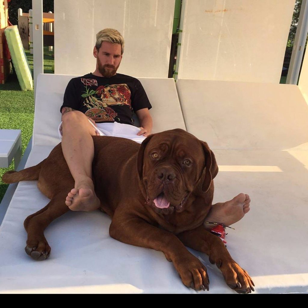 Dove abita Lionel Messi a Barcellona Dove abita Lionel Messi a Barcellona